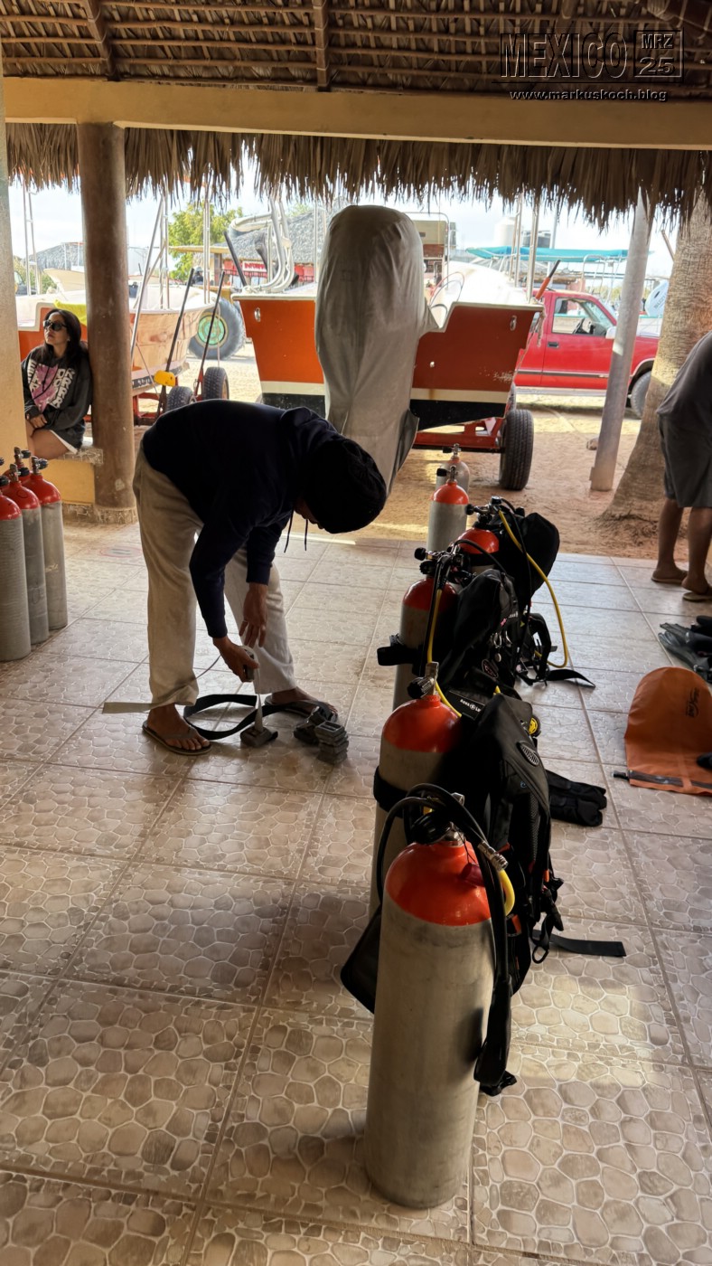 20250316-24_mexiko_baja_california_sur_mk0872