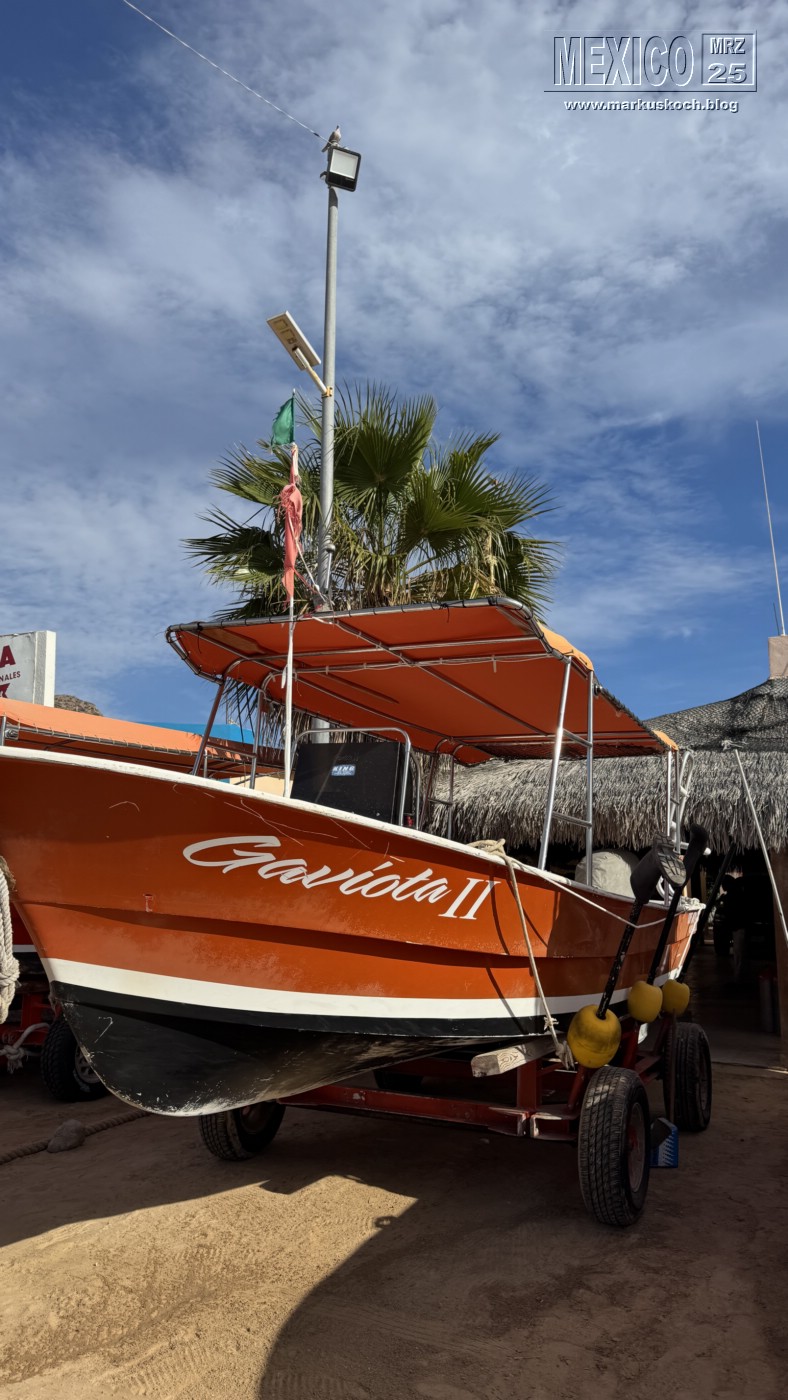 20250316-24_mexiko_baja_california_sur_mk0879