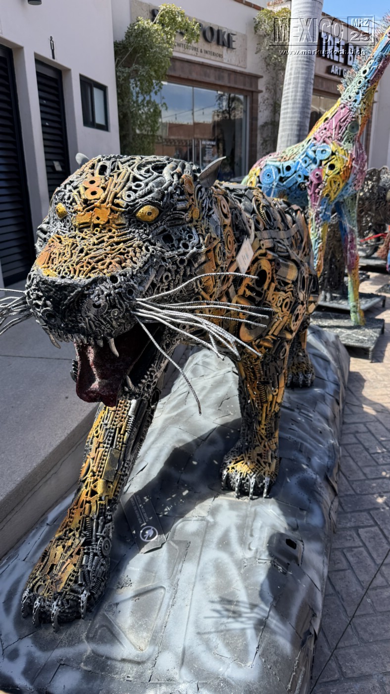 20250316-24_mexiko_baja_california_sur_mk0976