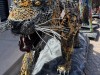 20250316-24_mexiko_baja_california_sur_mk0976