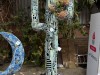 20250316-24_mexiko_baja_california_sur_mk0977