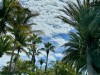 20250316-24_mexiko_baja_california_sur_mk1006