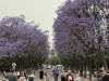 20250524-28_athen_mk243
