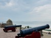 20250610-15_koeln_renissee_holland_mk333