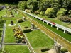 20250610-15_koeln_renissee_holland_mk422