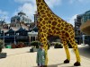 20250610-15_koeln_renissee_holland_mk430