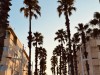 20250731-0803_valencia_mk092