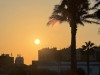 20250731-0803_valencia_mk100