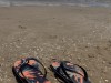 20250731-0803_valencia_mk330