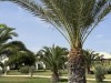 20250903-13_magiclife_penelope_beach_djerba_tunesien_mk433