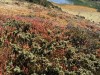 20251010-14_oberstdorf_mk264
